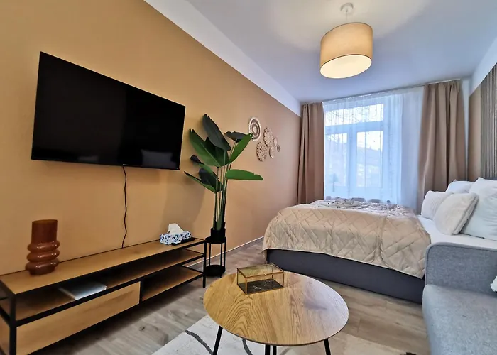 Bohnapartments Junior Blume 14 - Naehe Dom - Wlan * エアフルト